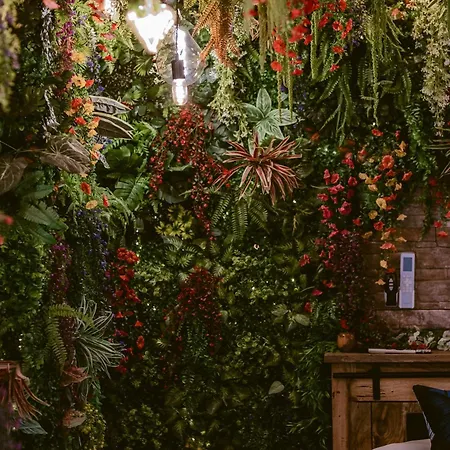 La Jungle Appartement *