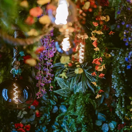 La Jungle Appartement *