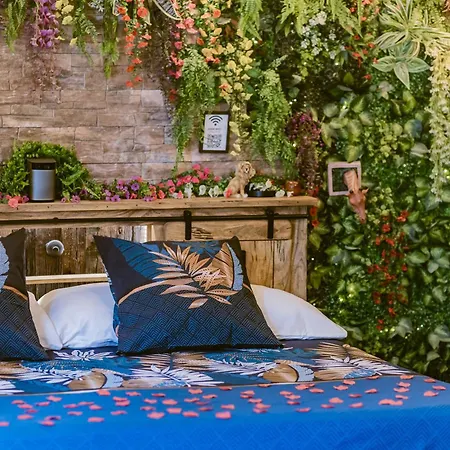 La Jungle Appartement
