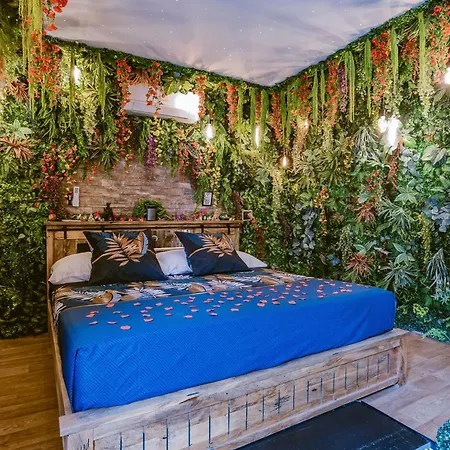Daire La Jungle