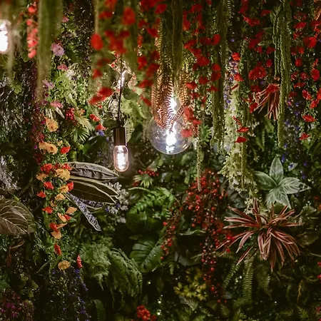 Appartement La Jungle *