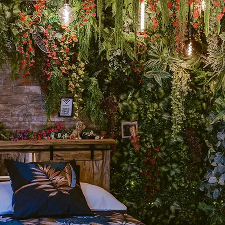 Appartement La Jungle